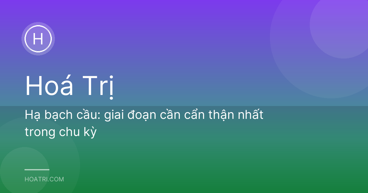 Hạ bạch cầu: giai đoạn cần cẩn thận nhất trong chu kỳ